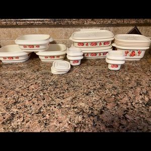 Brand New Pioneer Woman Storage